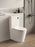 Alpha Rimless Tornado Toilet Suite