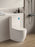 Veda Rimless Toilet Suite