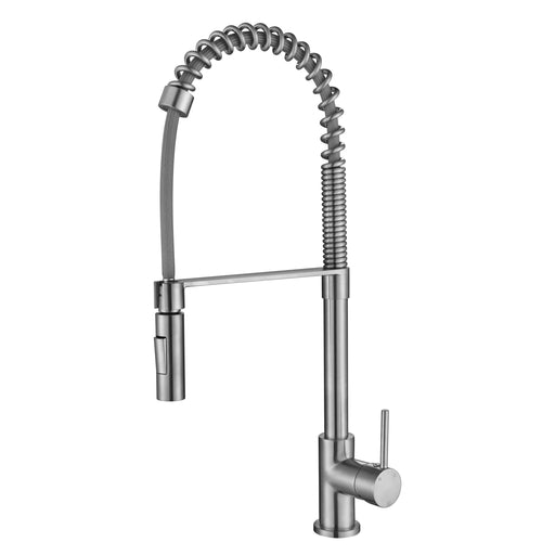 Kasper Spring Multi-Function Kitchen Mixer Brushed Nickel