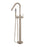 Round Freestanding Bath Spout & Hand Shower - Champagne