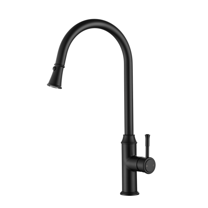 Montpellier Pull-Out Kitchen Mixer Matte Black