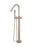 Round Paddle Freestanding Bath Spout & Hand Shower - Champagne