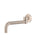 Round Swivel Wall Spout - Champagne