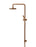 Round Combination Shower Rail, 200mm Rose, Three Function Hand Shower - Lustre Bronze