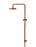 Round Combination Shower Rail, 200mm Rose, Single Function Hand Shower - Lustre Bronze