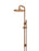Round Combination Shower Rail, 300mm Rose, Single Function Hand Shower - Lustre Bronze