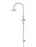 Round Gooseneck Shower Set With 200mm Shower Rose, Three-Function Hand Shower - Champagne