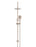 Round Gooseneck Shower Set With 200mm Shower Rose, Three-Function Hand Shower - Champagne