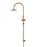 Round Gooseneck Shower Set With 200mm Shower Rose, Three-Function Hand Shower - Lustre Bronze