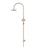 Round Gooseneck Shower Set With 200mm Shower Rose, Single-Function Hand Shower - Champagne