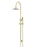 Round Gooseneck Shower Set With 200mm Shower Rose, Single-Function Hand Shower - Tiger Bronze