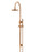 Round Gooseneck Shower Set With 200mm Shower Rose, Single-Function Hand Shower - Lustre Bronze