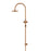 Round Gooseneck Shower Set With 200mm Shower Rose, Single-Function Hand Shower - Lustre Bronze