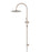 Round Gooseneck Shower Set With 300mm Shower Rose, Three-Function Hand Shower - Champagne