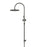 Round Gooseneck Shower Set With 300mm Shower Rose, Three-Function Hand Shower - Shadow Gunmetal