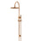 Round Gooseneck Shower Set With 300mm Shower Rose, Single-Function Hand Shower - Lustre Bronze