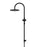 Round Gooseneck Shower Set With 300mm Shower Rose, Single-Function Hand Shower - Matte Black