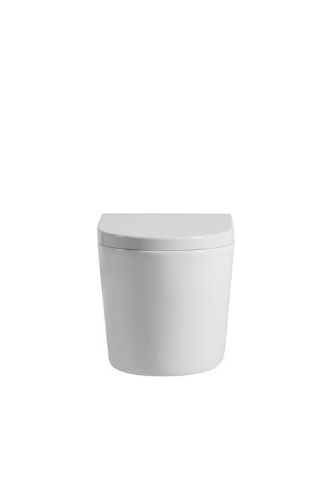 Avis Rimless Wall Hung Pan