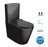 Feanza Black Tornado Toilet Suite