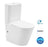 OASIS RIMLESS TOILET SUITE