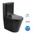 Oasis Rimless Toilet Suite - Matte Black